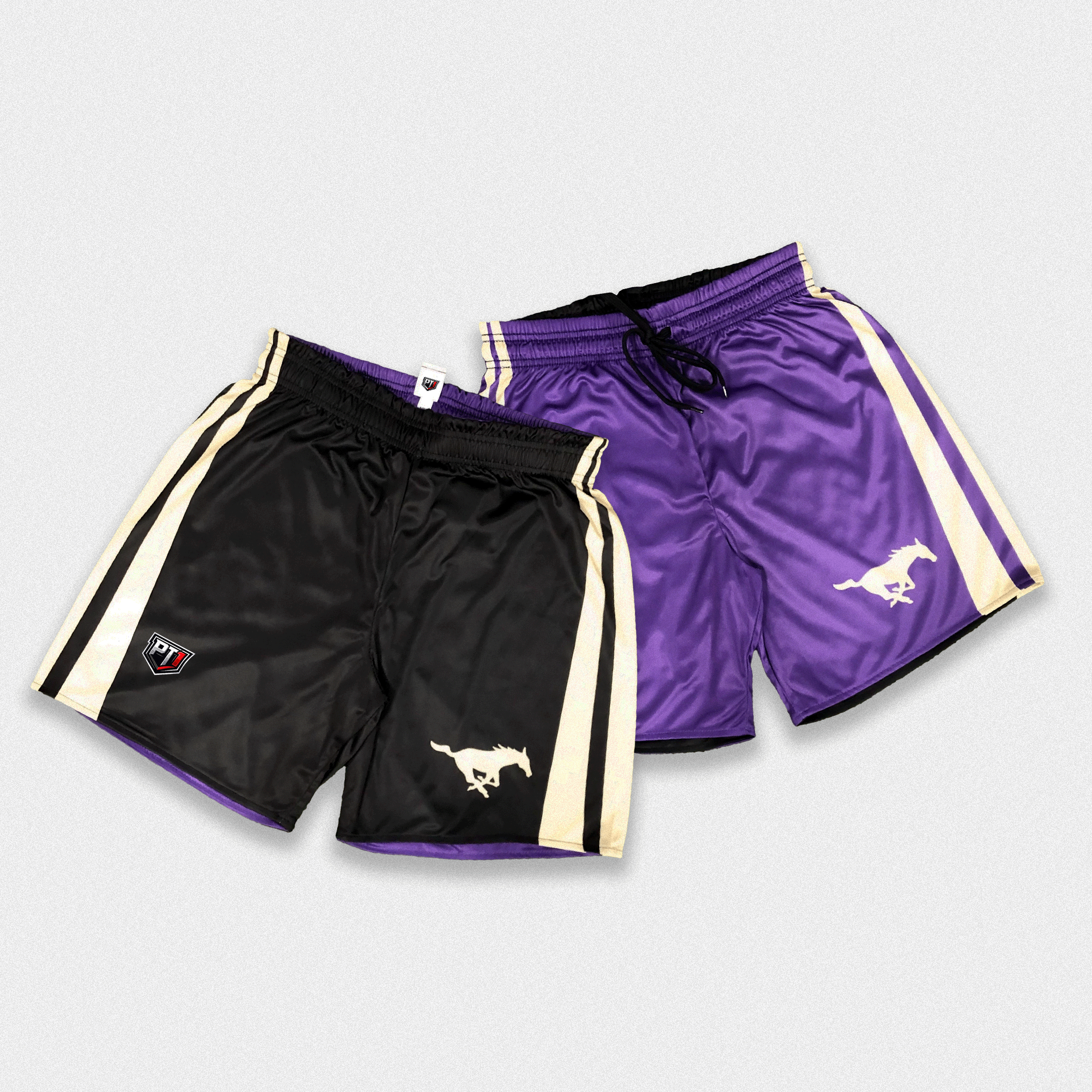 Reversible Soccer Shorts